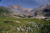 Val Malenco - Al Rifugio Bosio, i Corni Bruciati 